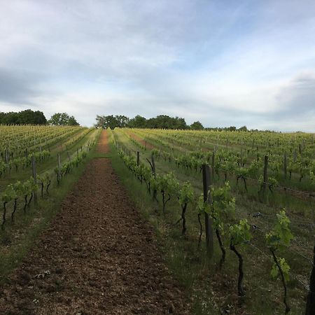 Chateau Masburel Fougueyrolles Kültér fotó