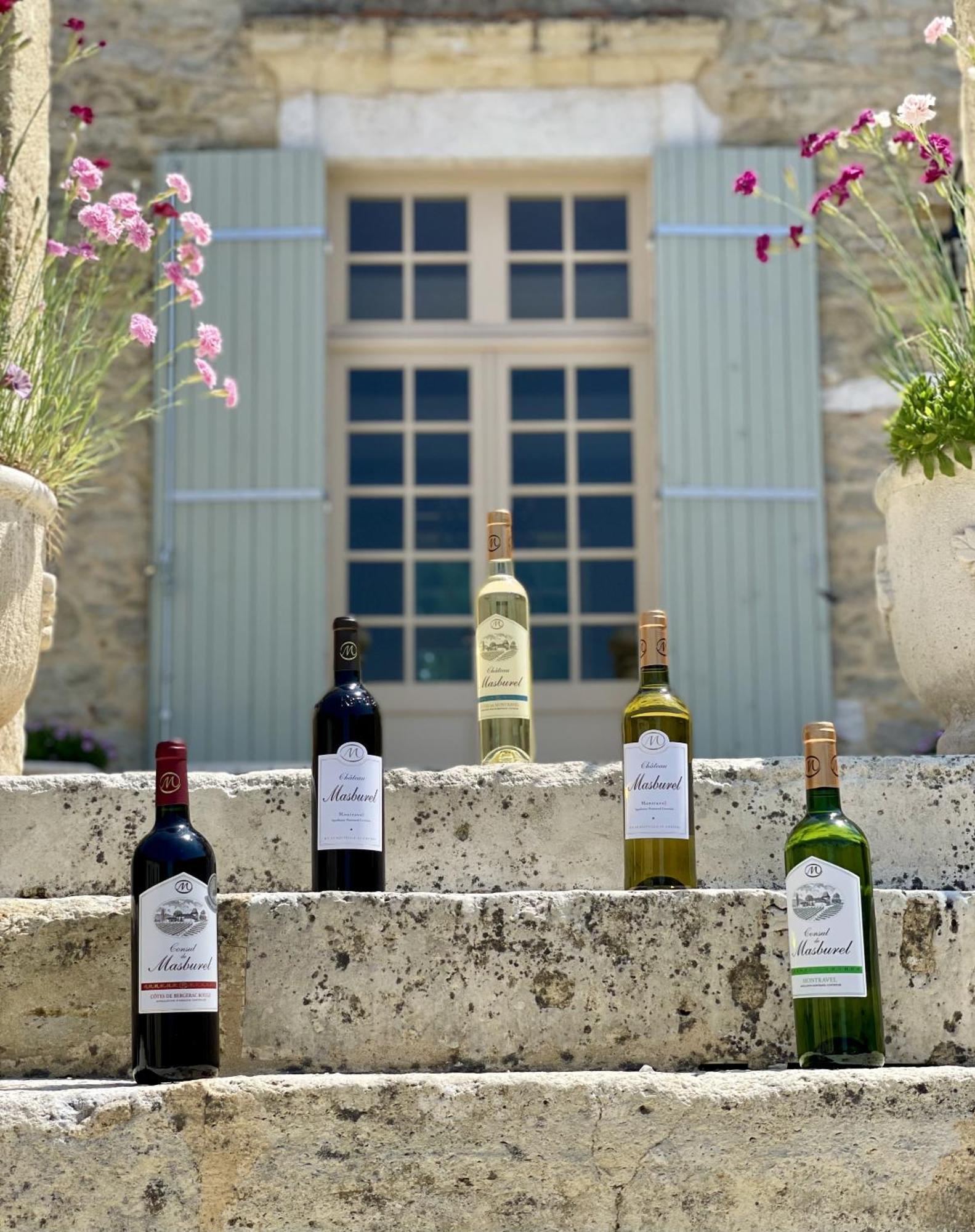 Chateau Masburel Fougueyrolles Kültér fotó